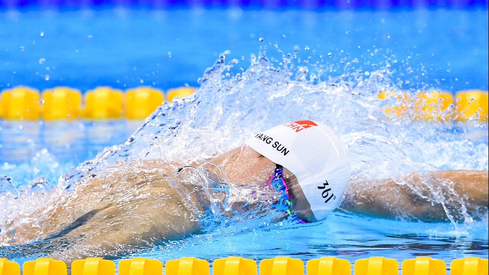 不伦瑞克狮王力挫群雄,蓄势待发再创佳绩