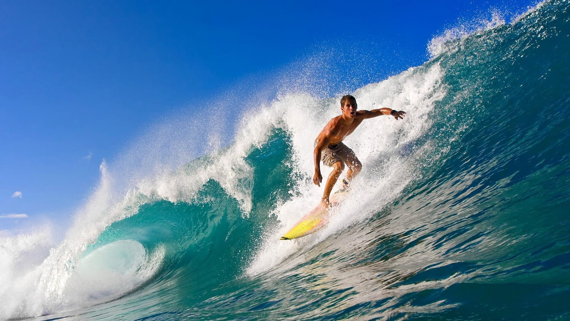 悬念丛生网球年终排名最后冲刺，网球 challenge